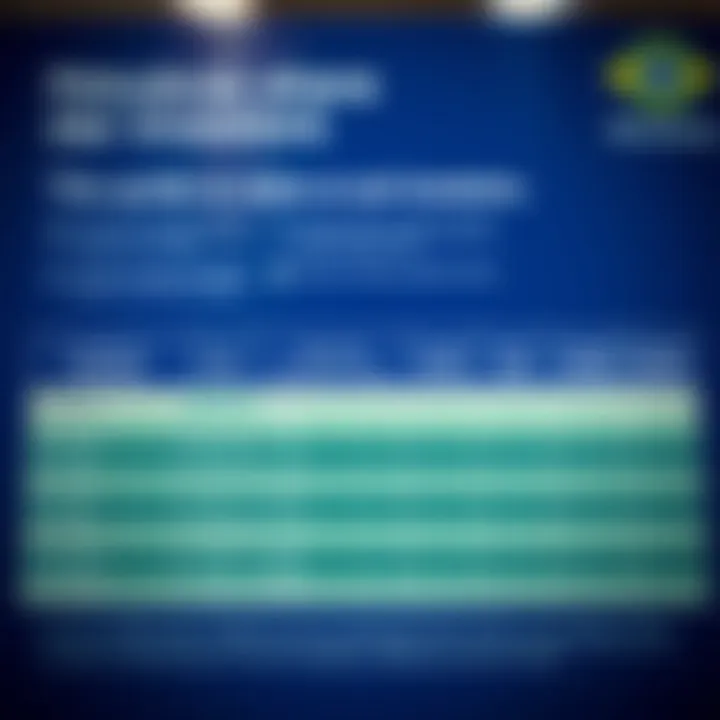 Chart illustrating the different classes of Petrobras shares and their characteristics for investors