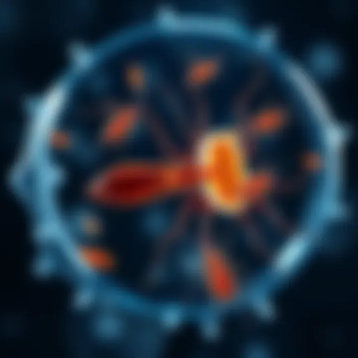 Quatox: Guia Completo de Uso e Cuidados