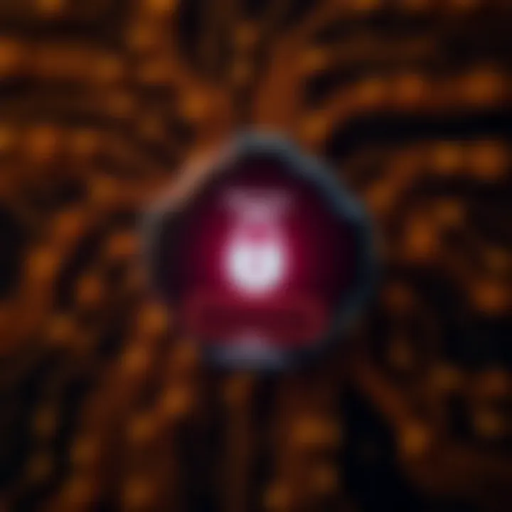 Quotrex: Guia Completo para Operar com Segurança